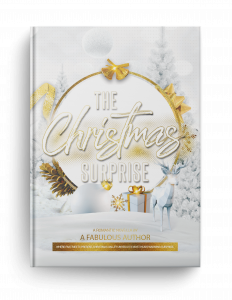 Sample Book Outline - The Christmas Surprise