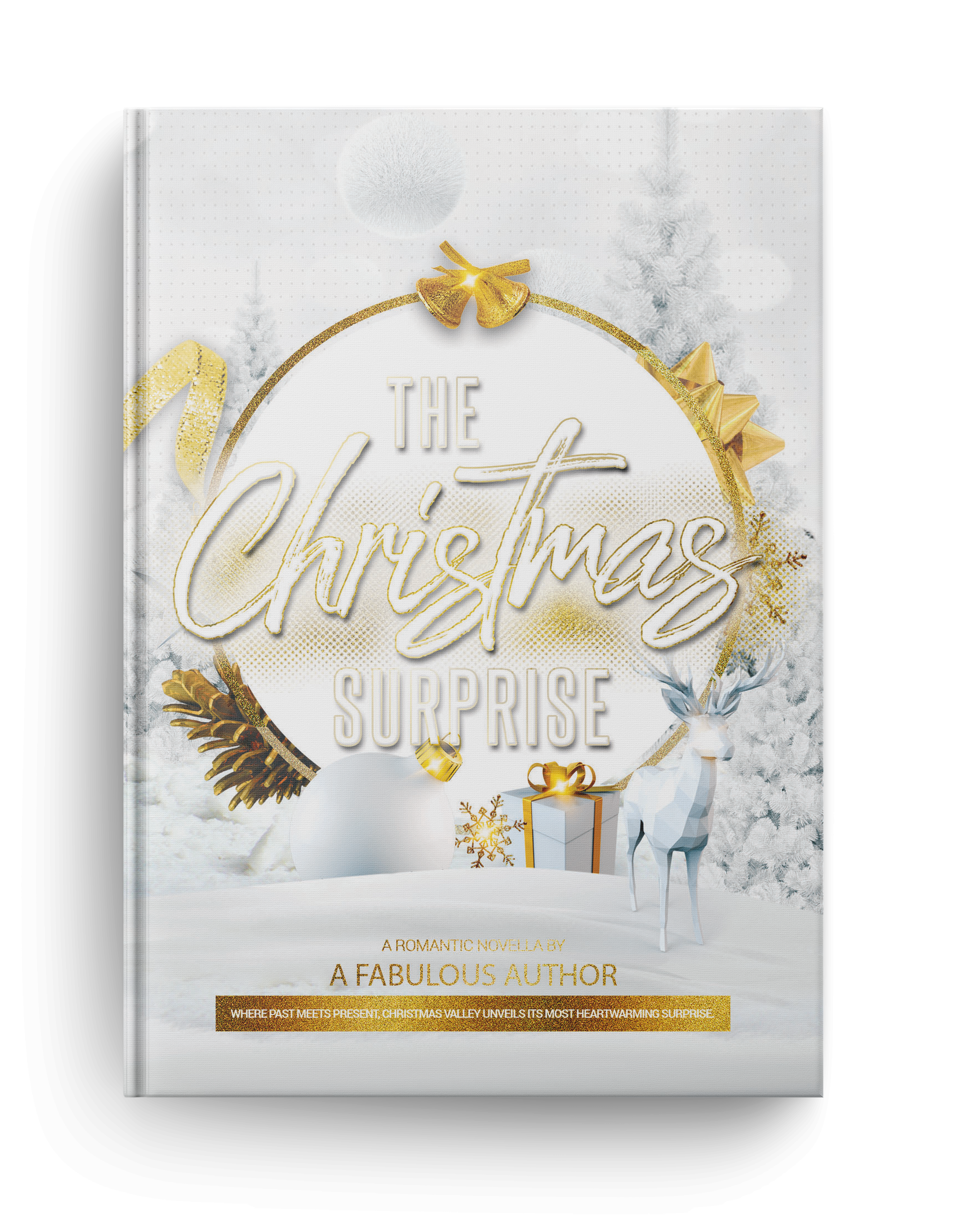 Sample Book Outline - The Christmas Surprise